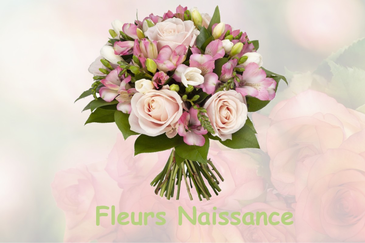 fleurs naissance DOMMARY-BARONCOURT