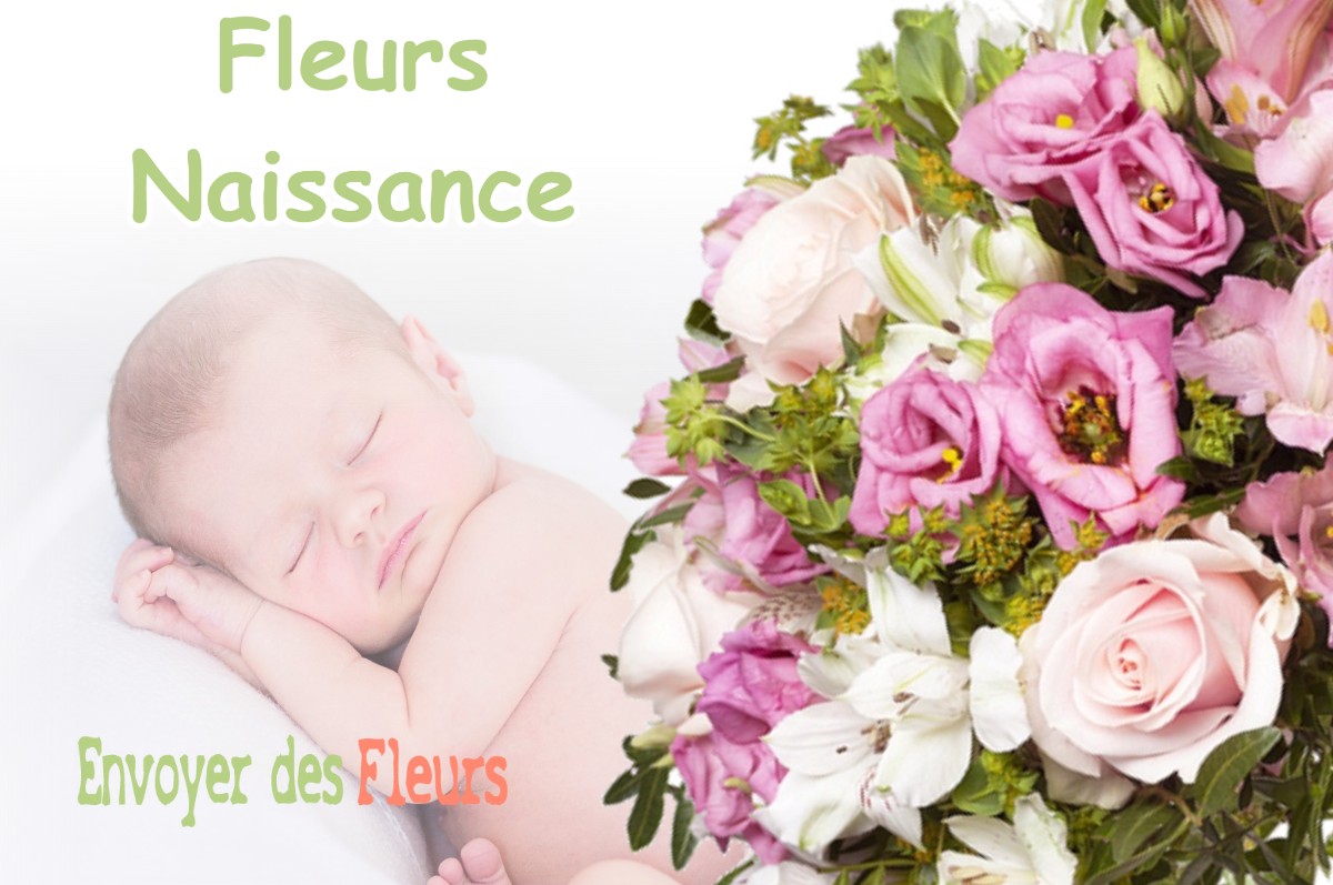 lIVRAISON FLEURS NAISSANCE à DOMMARY-BARONCOURT